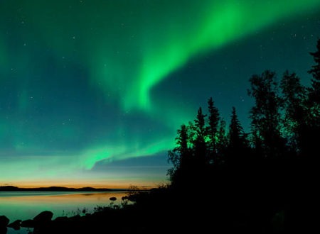 NWT